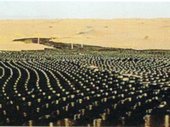 �c���鿴Ԕ����Ϣ���}������ɳĮ������������ ��x�Δ�(sh��)��2159